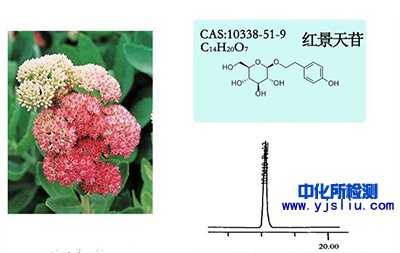 紅景天苷檢測(cè)