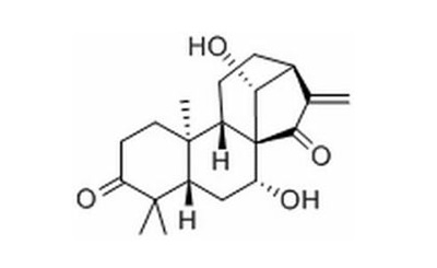 藍(lán)萼甲素檢測(cè)